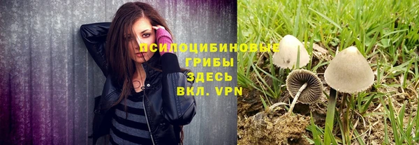 не бодяженный Гусь-Хрустальный