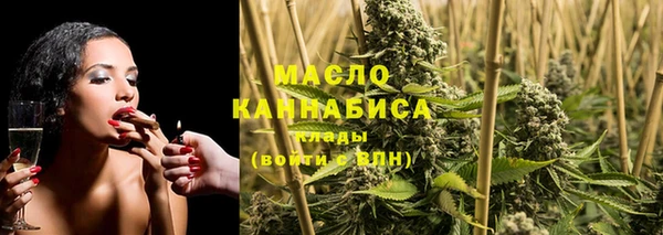 спиды Гусев