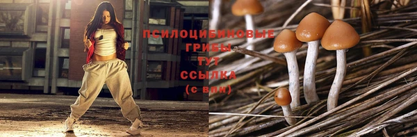 mix Гусиноозёрск