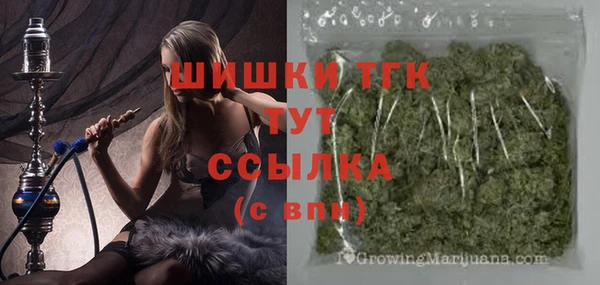 спиды Гусев