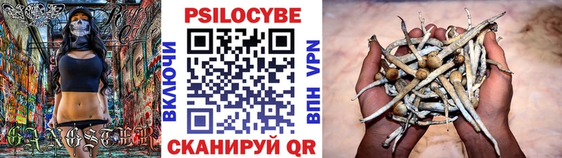 Купить закладки  Гусиноозёрск  Галлюциногенные грибы Magic Shrooms 